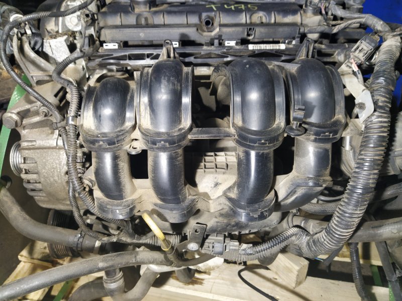 Ford Duratec Ti-VCT 16V Sigma 1.6 105 LE motor