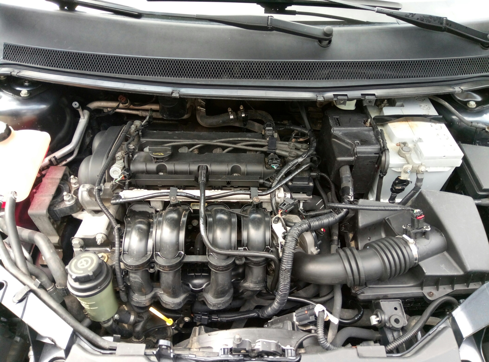 Ford Duratec Ti-VCT 16V Sigma 1.6 115 lóerős motor (Ford Focus)